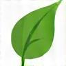 Leaf with a dewdrop icon